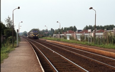 Schelle - TH 78-4330.jpg